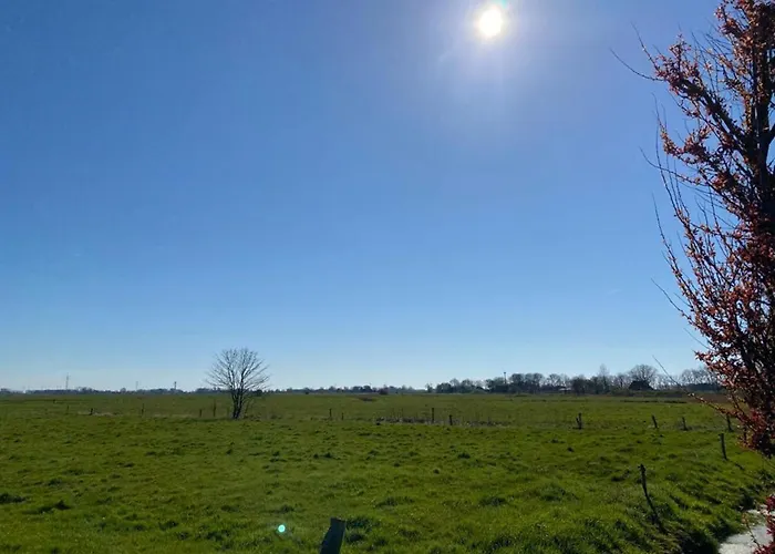 Neu! Am Alten Deich Mit Balkon 公寓 *